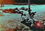 Immagine di Soldati tedeschi uccisi dai cechi a Pilsen Pilsen Cecoslovacchia, 1945, secondo 13 filmato di repertorio 65675055606