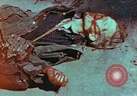 Immagine di Soldati tedeschi uccisi dai cechi a Pilsen Pilsen Cecoslovacchia, 1945, secondo 40 filmato di repertorio 65675055606