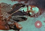 Immagine di Soldati tedeschi uccisi dai cechi a Pilsen Pilsen Cecoslovacchia, 1945, secondo 44 filmato di repertorio 65675055606