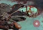 Immagine di Soldati tedeschi uccisi dai cechi a Pilsen Pilsen Cecoslovacchia, 1945, secondo 46 filmato di repertorio 65675055606