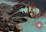 Immagine di Soldati tedeschi uccisi dai cechi a Pilsen Pilsen Cecoslovacchia, 1945, secondo 47 filmato di repertorio 65675055606