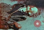 Immagine di Soldati tedeschi uccisi dai cechi a Pilsen Pilsen Cecoslovacchia, 1945, secondo 48 filmato di repertorio 65675055606