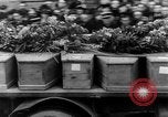 Image cortège funèbre Vichy France, 1943, de la seconde 48 séquences d'archives historiques vidéo 65675055610