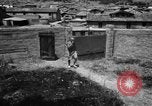 Image Pablo Picasso Vallauris France, 1950, de la seconde 5 séquences d'archives historiques vidéo 65675055613