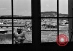 Image Pablo Picasso Vallauris France, 1950, de la seconde 9 séquences d'archives historiques vidéo 65675055613
