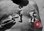 Image Pablo Picasso Vallauris France, 1950, de la seconde 22 séquences d'archives historiques vidéo 65675055613