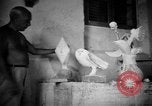 Image Pablo Picasso Vallauris France, 1950, de la seconde 36 séquences d'archives historiques vidéo 65675055613