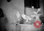 Image Pablo Picasso Vallauris France, 1950, de la seconde 37 séquences d'archives historiques vidéo 65675055613