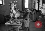 Image Pablo Picasso Vallauris France, 1950, de la seconde 54 séquences d'archives historiques vidéo 65675055613