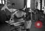 Image Pablo Picasso Vallauris France, 1950, de la seconde 59 séquences d'archives historiques vidéo 65675055613