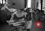 Image Pablo Picasso Vallauris France, 1950, de la seconde 60 séquences d'archives historiques vidéo 65675055613