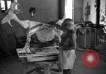 Image Pablo Picasso Vallauris France, 1950, de la seconde 61 séquences d'archives historiques vidéo 65675055613