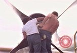 Standbild P-3C Orion Flugzeuge Diego Garcia Insel im Indischen Ozean, 1979, aus Sekunde 26 historischem Filmmaterial Videoclip 65675055638