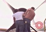 Standbild P-3C Orion Flugzeuge Diego Garcia Insel im Indischen Ozean, 1979, aus Sekunde 27 historischem Filmmaterial Videoclip 65675055638