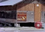 Standbild Gebäude am Strand Diego Garcia Insel im Indischen Ozean, 1979, aus Sekunde 58 historischem Filmmaterial Videoclip 65675055647