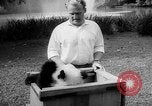 Image of Giant Panda Chi Chi Frankfurt Germany, 1958, second 7 stock footage video 65675055655