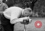 Image of Giant Panda Chi Chi Frankfurt Germany, 1958, second 23 stock footage video 65675055655