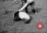 Image of Giant Panda Chi Chi Frankfurt Germany, 1958, second 32 stock footage video 65675055655