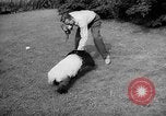 Image of Giant Panda Chi Chi Frankfurt Germany, 1958, second 34 stock footage video 65675055655