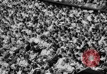 Image of Wimbledon finals London England United Kingdom, 1958, second 23 stock footage video 65675055656