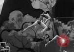 Image of diving stunts New York United States USA, 1958, second 15 stock footage video 65675055657