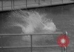 Image of diving stunts New York United States USA, 1958, second 17 stock footage video 65675055657