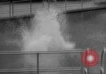 Image of diving stunts New York United States USA, 1958, second 18 stock footage video 65675055657