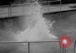 Image of diving stunts New York United States USA, 1958, second 19 stock footage video 65675055657