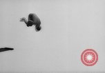 Image of diving stunts New York United States USA, 1958, second 28 stock footage video 65675055657