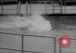Image of diving stunts New York United States USA, 1958, second 33 stock footage video 65675055657