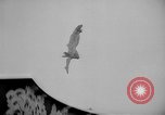 Image of diving stunts New York United States USA, 1958, second 36 stock footage video 65675055657