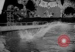 Image of diving stunts New York United States USA, 1958, second 50 stock footage video 65675055657