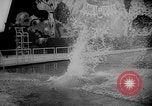Image of diving stunts New York United States USA, 1958, second 51 stock footage video 65675055657