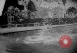 Image of diving stunts New York United States USA, 1958, second 52 stock footage video 65675055657