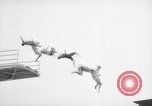 Image of diving stunts New York United States USA, 1958, second 55 stock footage video 65675055657