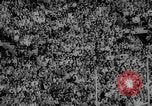 Standbild Fußballspiel East Lansing Michigan USA, 1958, aus Sekunde 10 historischem Filmmaterial Videoclip 65675055663