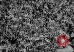 Standbild Fußballspiel East Lansing Michigan USA, 1958, aus Sekunde 26 historischem Filmmaterial Videoclip 65675055663