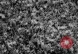 Standbild Amerikanisches College-Footballspiel New York United States USA, 1958, aus Sekunde 11 historischem Filmmaterial Videoclip 65675055664