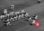 Standbild Amerikanisches College-Footballspiel New York United States USA, 1958, aus Sekunde 52 historischem Filmmaterial Videoclip 65675055664