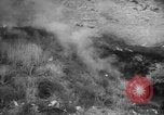 Immagine di Infuriano gli incendi forestali Malibu California USA, 1958, secondo 27 filmato di repertorio 65675055665