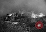 Immagine di Infuriano gli incendi forestali Malibu California USA, 1958, secondo 48 filmato di repertorio 65675055665