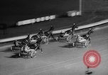 Image of Harness race New York United States USA, 1958, second 18 stock footage video 65675055671