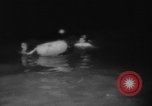 Image of Annual Maritime Marathon France, 1959, second 20 stock footage video 65675055677