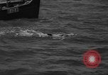 Image of Annual Maritime Marathon France, 1959, second 40 stock footage video 65675055677
