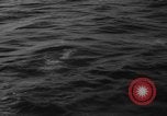 Image of Annual Maritime Marathon France, 1959, second 41 stock footage video 65675055677