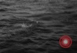 Image of Annual Maritime Marathon France, 1959, second 42 stock footage video 65675055677