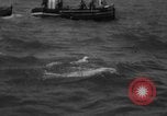 Image of Annual Maritime Marathon France, 1959, second 43 stock footage video 65675055677