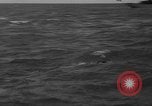 Image of Annual Maritime Marathon France, 1959, second 47 stock footage video 65675055677