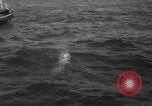 Image of Annual Maritime Marathon France, 1959, second 48 stock footage video 65675055677