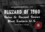 Image of blizzard New York United States USA, 1960, second 1 stock footage video 65675055679